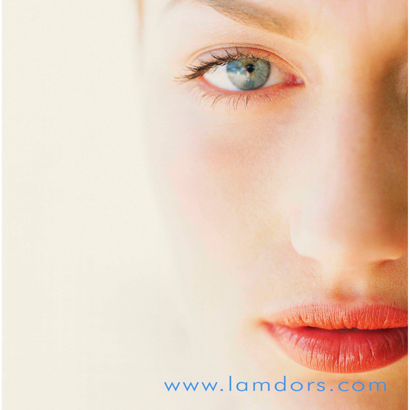 Lee más sobre el artículo Lamdors, la excelencia profesional en Beauty Valencia